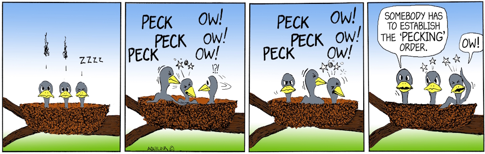 toons