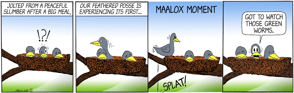 toons